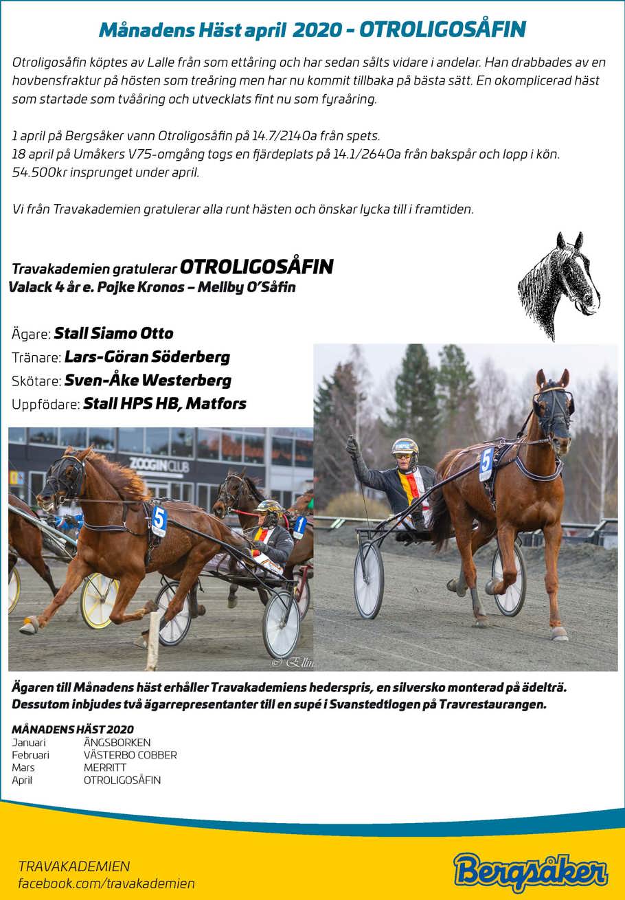 Månadens Häst april.jpg