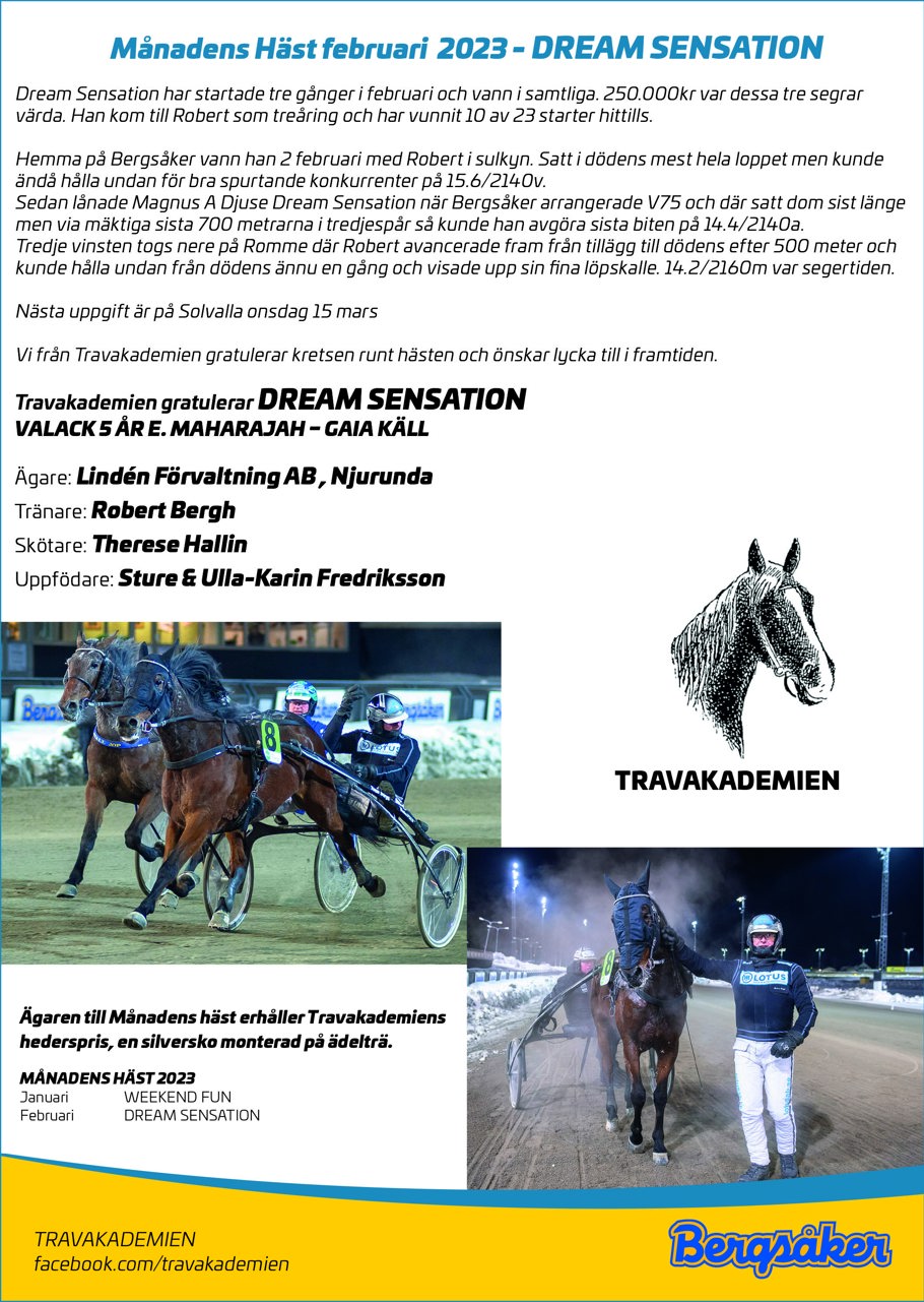 Månadens Häst febrauri 2023.jpg