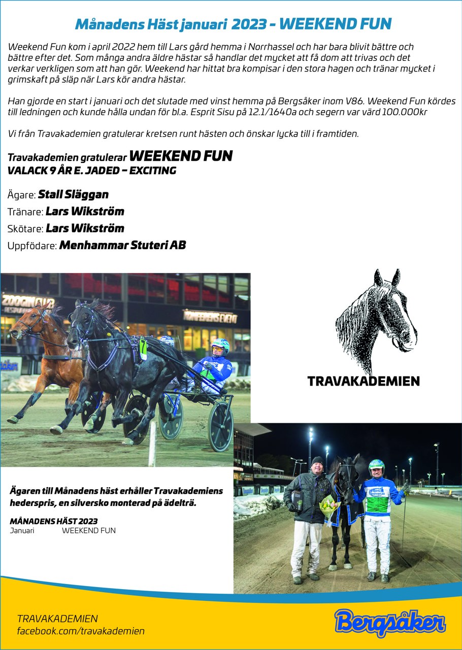 Månadens Häst janauri 2023.jpg