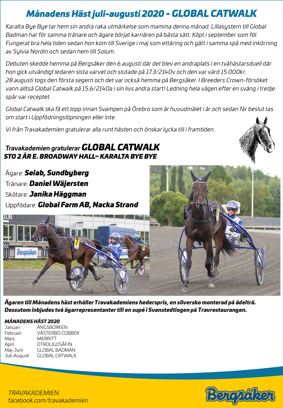 Månadens Häst juli-aug.jpg