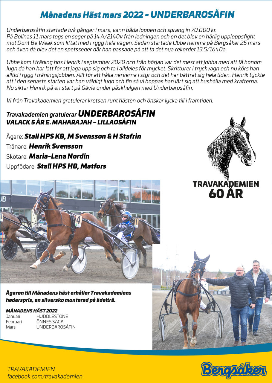 Månadens Häst mars 2022 135x190.jpg